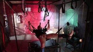 Sexmaniac xxx – Femdom BDSM